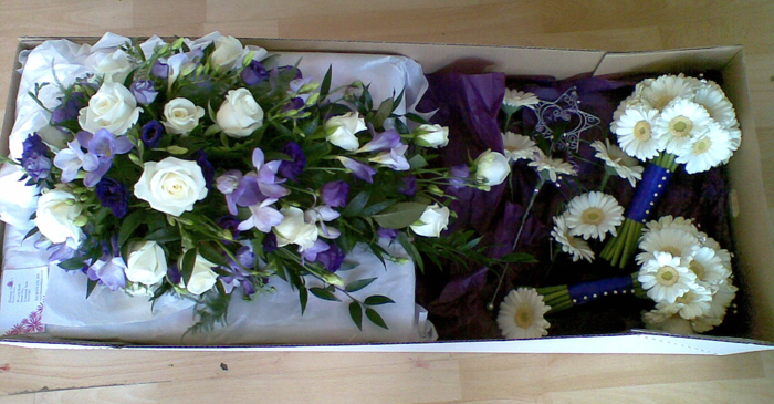 purple_all