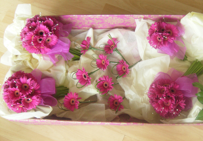 germini_box