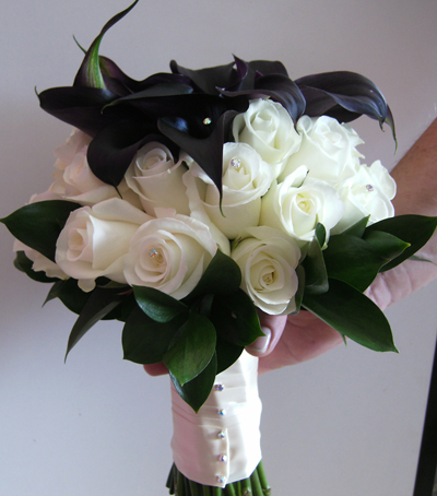 calla2