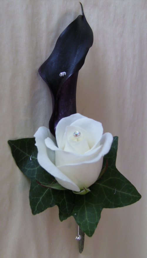 calla2