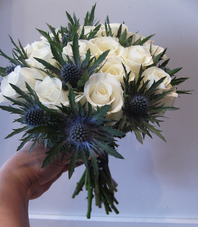 thistle_foreverdaizys